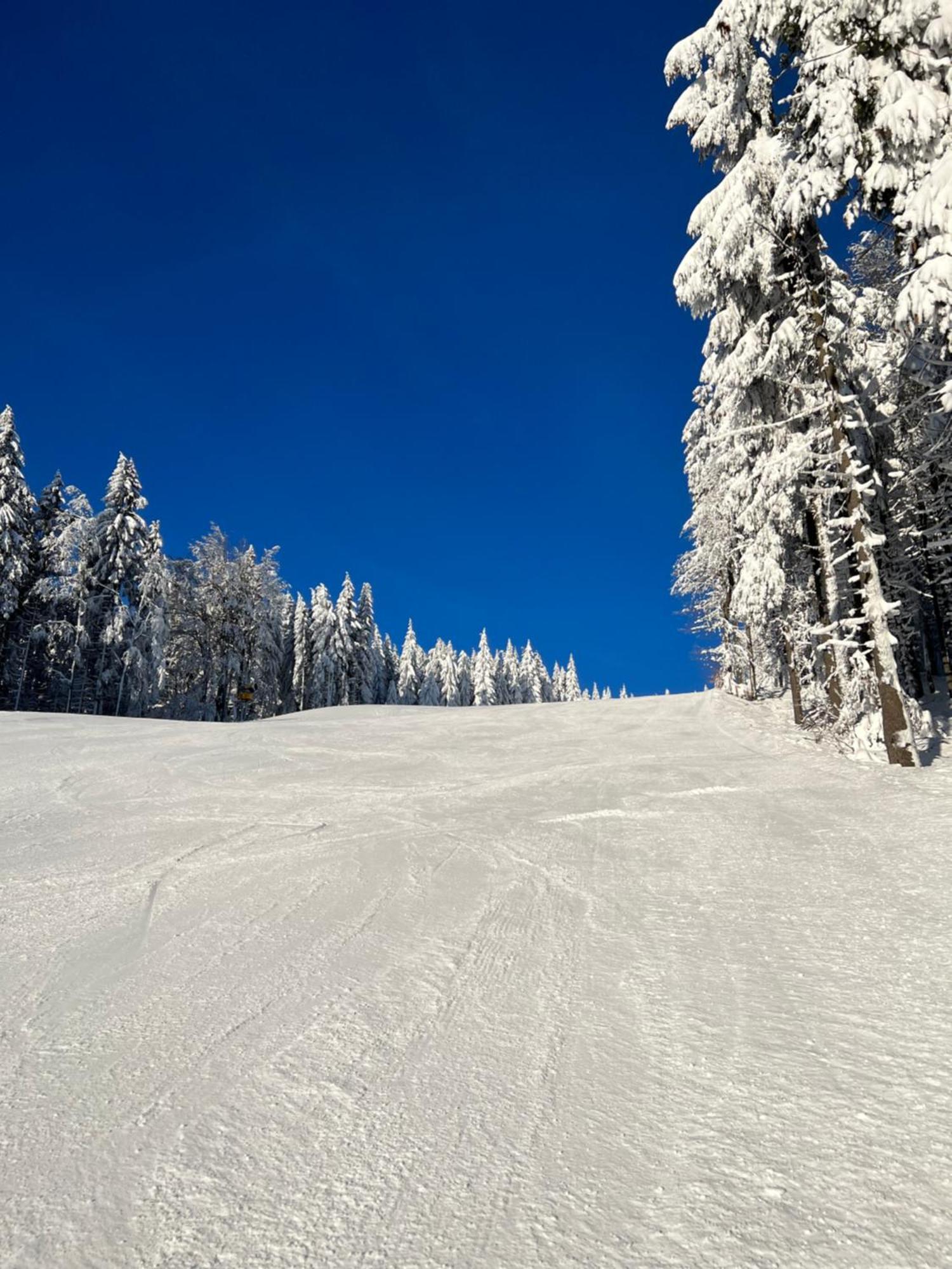 Apartmán na Bukovce MALMA Červená Voda Esterno foto